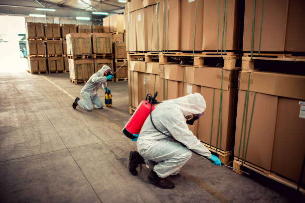 Best Rat Extermination Near Me  in Mount Holly, NC