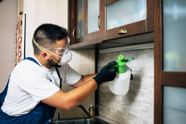 Best Cockroach Control Services  in Mount Holly, NC