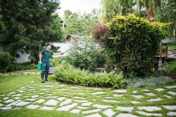 Best Exterminator Services  in Mount Holly, NC