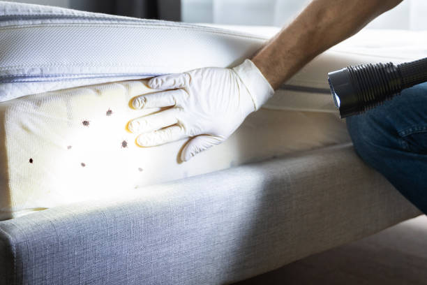 Pest Control Cost in Mount Holly, NC