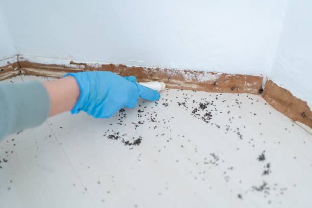 Best Pest Control for Businesses  in Mount Holly, NC