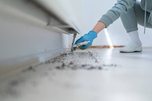 Best Commercial Pest Control Services  in Mount Holly, NC